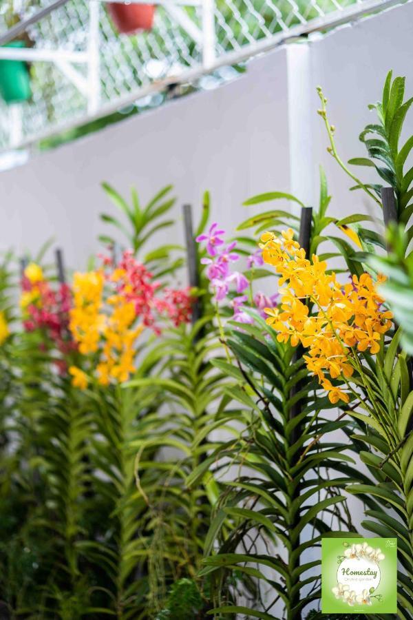 Can Tho Orchid Garden Homestay Dış mekan fotoğraf