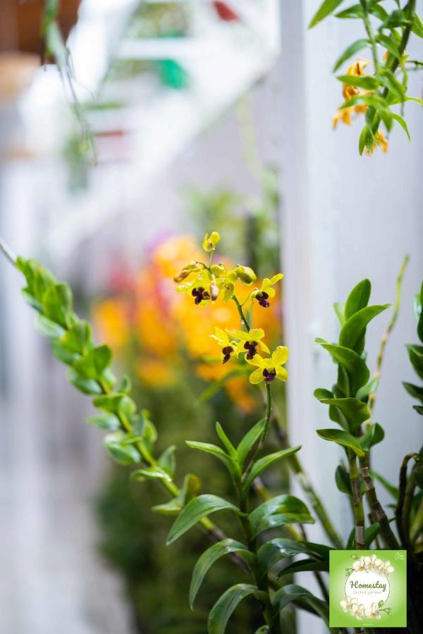 Can Tho Orchid Garden Homestay Dış mekan fotoğraf